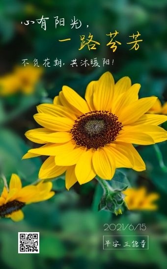 绿色清新摄影风向日葵积极正能量h5模板