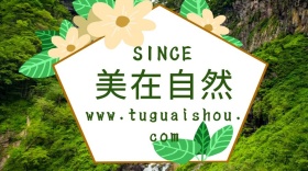 美在自然红包公众号封面