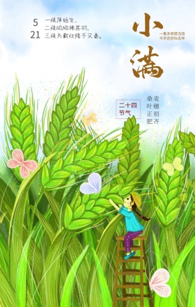 小满节气卡通画手机海报