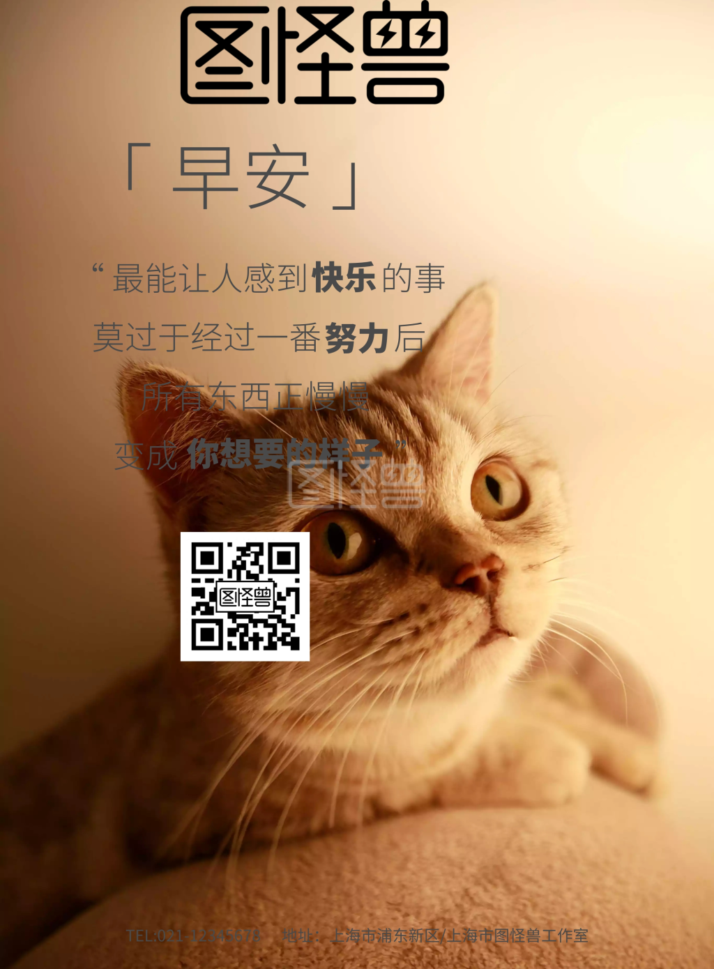 早安可爱猫咪励志海报