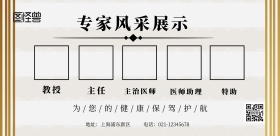 专家风采展示简约横版海报