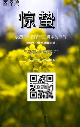 黑色古典惊蛰节气民俗知识促销手机海报