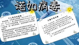 诺如病毒手抄报医疗