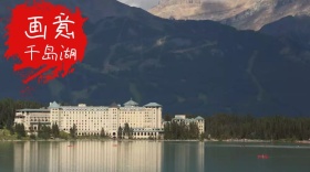 画意千岛湖公众号封面