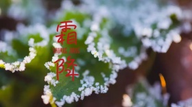 二十四节气霜降公众号封面
