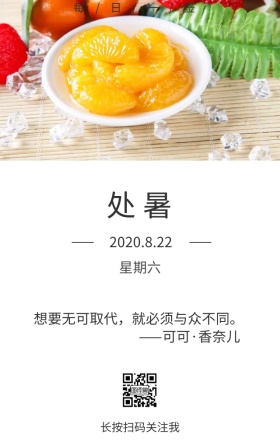 处暑冰块凉爽简约日签图