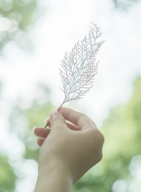 二十四节气立夏绿色清新海报模板