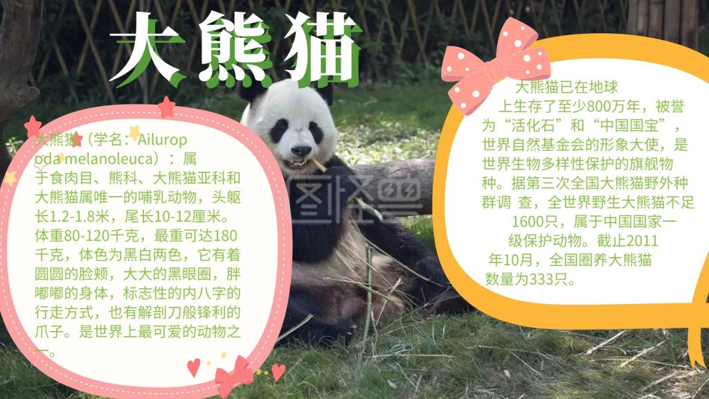 图片素材参数 关键词:简约 大气 卡通 绿色  动物 手抄报 大熊猫 行业