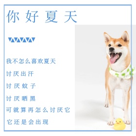 小狗简约文艺立夏物语公众号正方形配图