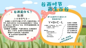 谷雨卡通手抄报