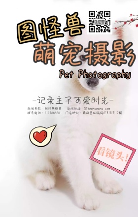 可爱卡通黄色相机猫咪宠物摄影手机营销海报