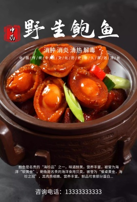 野生鲍鱼中药中医中国风宣传海报