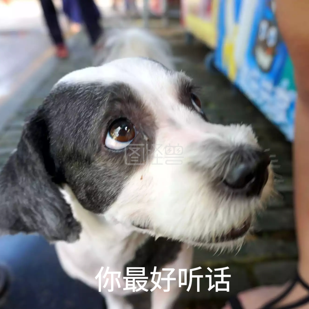 沙雕哈士奇可爱听话恶搞可爱手机表情包