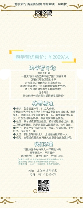 国内游学营营销长图