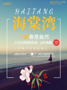 海棠湾旅游设计海报