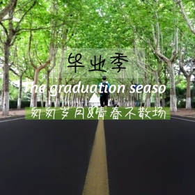毕业季摄影摄影清新简约文艺