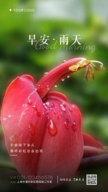 风励志摄影图海报免费下载早安雨天问候语简约墨蓝色问候日签vip专