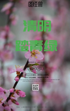 简约风中国传统节气清明海报