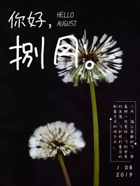 八月你好文艺蓝天蒲公英海报设计红包配图