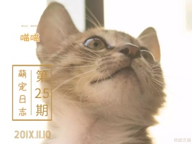 萌宠日志
