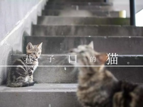 街道白色简约公众号配图