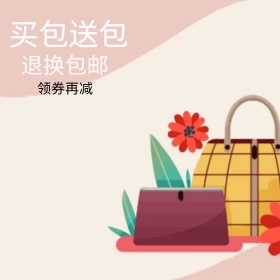 女包直通车图主图淘宝电商