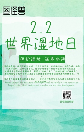  绿色科普保护湿地环保手机海报