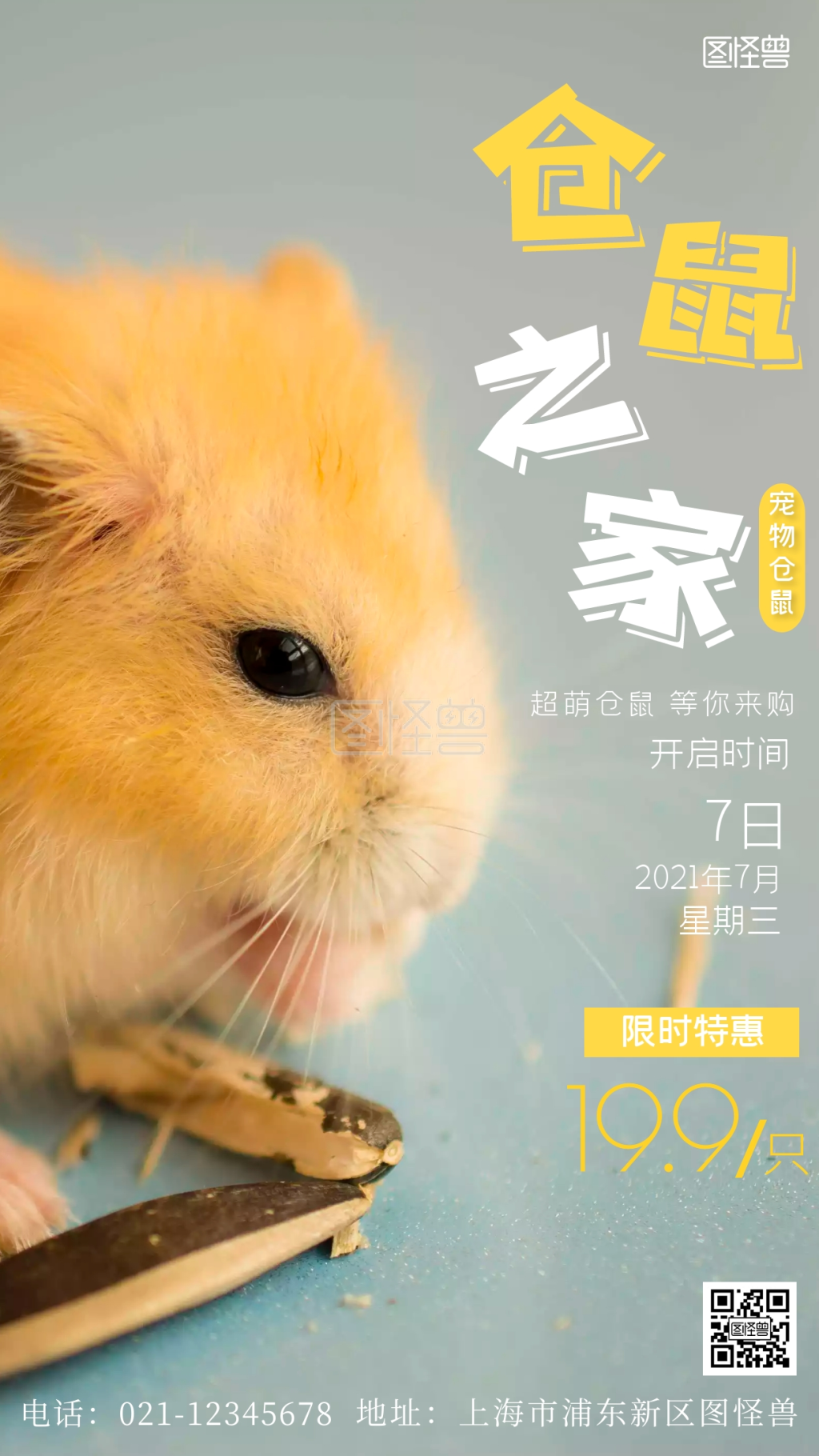 仓鼠海报-仓鼠摄影图海报在线图片制作-图怪兽