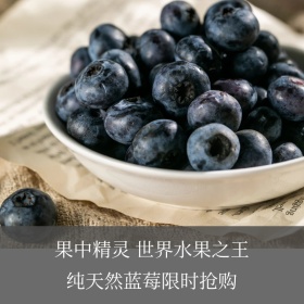 粉丝节蓝莓Main！
