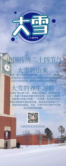 中国二十四节气大雪手机长图