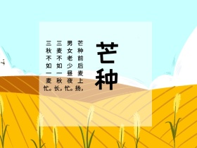芒种麦穗背景简约公众号配图
