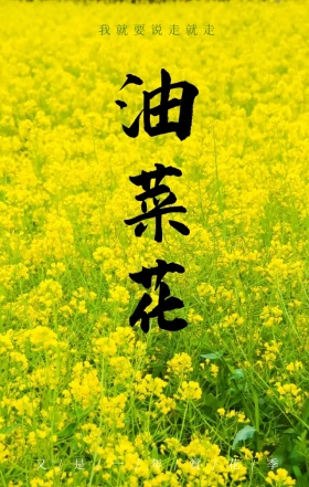 油菜花旅行踏青春季黄色摄影海报H5模板