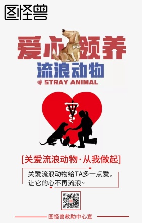 关爱流浪动物手机海报