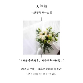 小满天竺葵花语简介白色方形配图