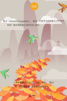 二十四节气秋分简介简约白色竖版配图
