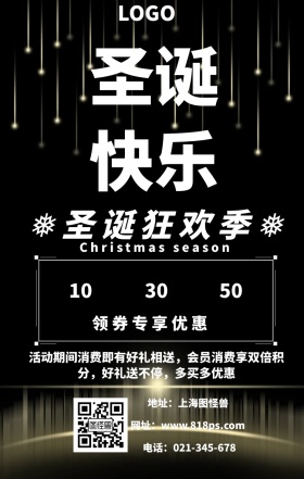 圣诞节狂欢季促销优惠海报