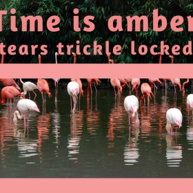 时光简约创意公众号正方形配图