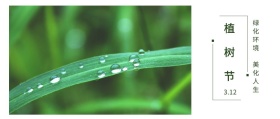 植树节 3.12 绿化环境 美化人生 植树节