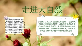 走进大自然宣传手抄报