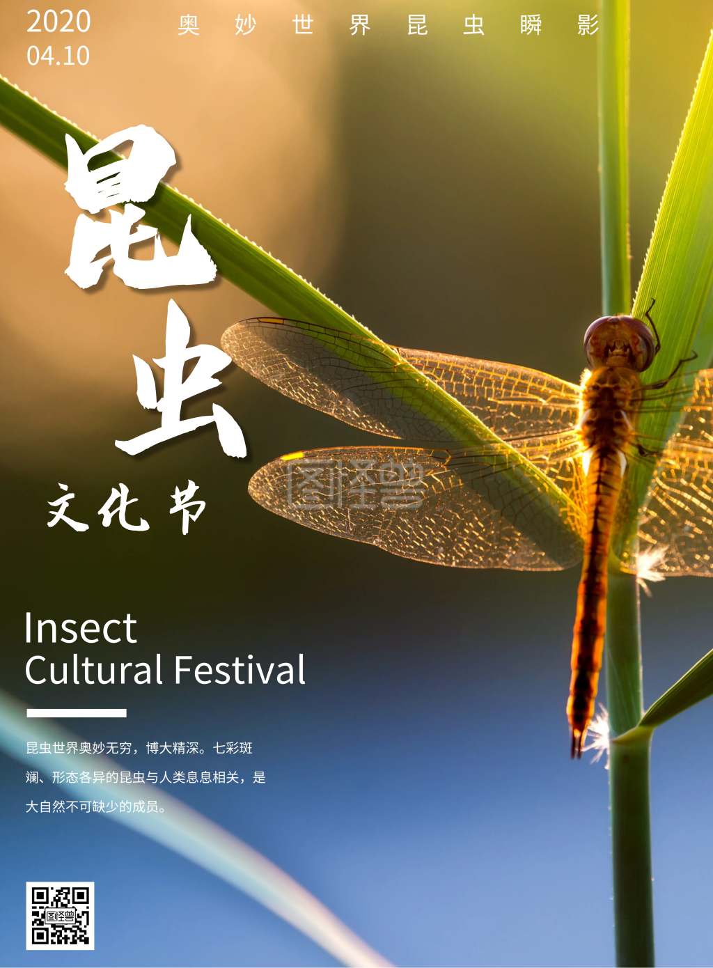 《昆虫文化节摄影风简约写实海报	》在线图片设计制作,点击"编辑"按钮