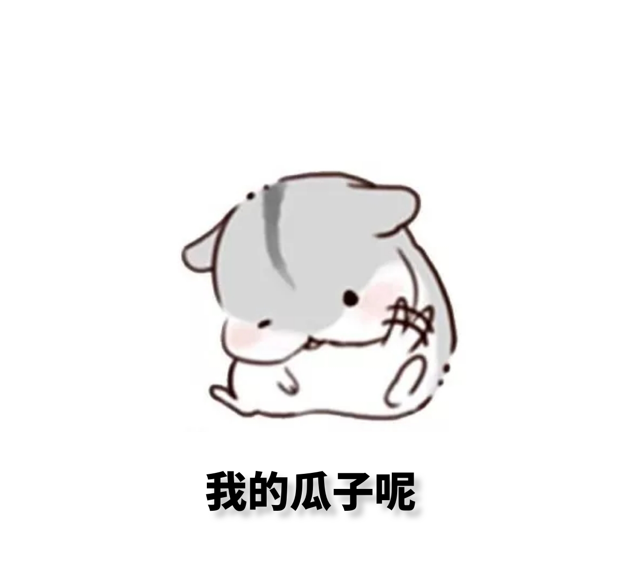 仓鼠
