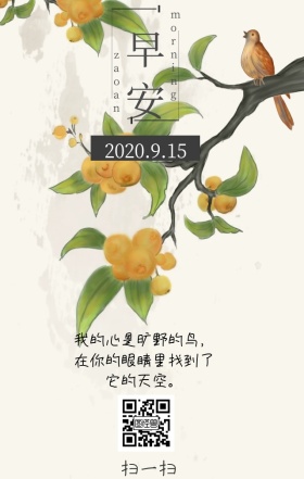 早安极简飞鸟文艺日签
