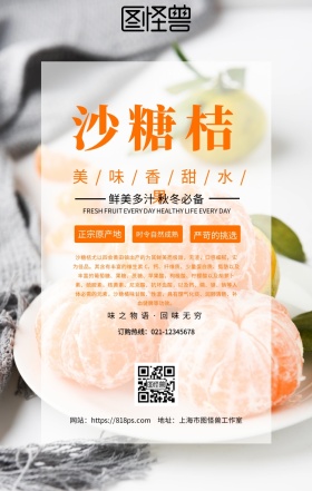 沙糖桔广告手机海报设计