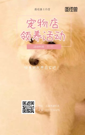 宠物店领养活动宣传海报