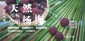 天然杨梅海报