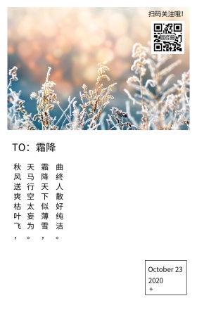 霜降季节节气雪霜蓝色文艺简约日签