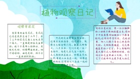 植物观察日记