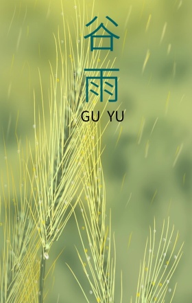 谷雨二十四节气手机海报h5模板