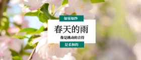 春天的雨 是柔和的 如雾如纱 像是跳动的音符 春季春天你好公众号封面