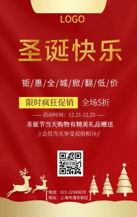圣诞狂欢购促销活动手机海报